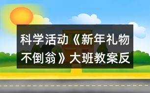 科學(xué)活動《新年禮物不倒翁》大班教案反思