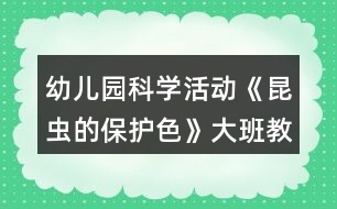 幼兒園科學(xué)活動(dòng)《昆蟲(chóng)的保護(hù)色》大班教案反思