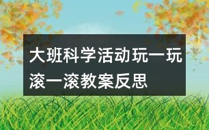 大班科學(xué)活動(dòng)玩一玩滾一滾教案反思