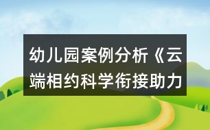 幼兒園案例分析《云端相約科學銜接助力成長》幼小銜接案列