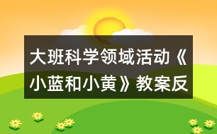 大班科學領域活動《小藍和小黃》教案反思