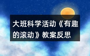 大班科學(xué)活動《有趣的滾動》教案反思