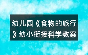 幼兒園《食物的旅行》幼小銜接科學(xué)教案