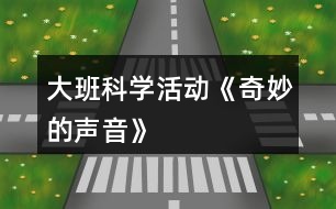 大班科學活動《奇妙的聲音》