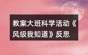 教案大班科學活動《風級我知道》反思