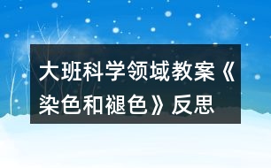 大班科學(xué)領(lǐng)域教案《染色和褪色》反思