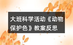 大班科學(xué)活動《動物保護色》教案反思