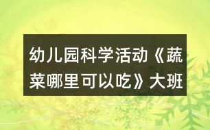 幼兒園科學(xué)活動(dòng)《蔬菜哪里可以吃》大班語言教案狐貍種菜