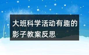 大班科學(xué)活動有趣的影子教案反思