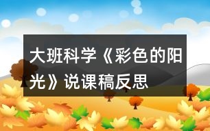 大班科學(xué)《彩色的陽光》說課稿反思