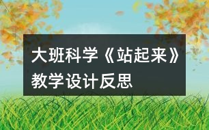 大班科學(xué)《站起來(lái)》教學(xué)設(shè)計(jì)反思