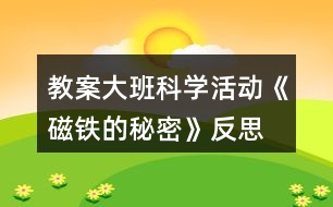 教案大班科學活動《磁鐵的秘密》反思