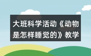 大班科學活動《動物是怎樣睡覺的》教學設計課后反思