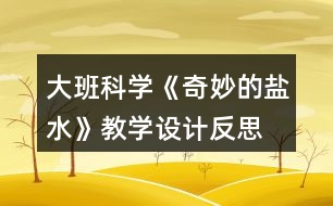 大班科學(xué)《奇妙的鹽水》教學(xué)設(shè)計(jì)反思