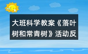 大班科學(xué)教案《落葉樹和常青樹》活動反思