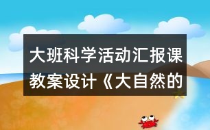 大班科學活動匯報課教案設計《大自然的聲音》