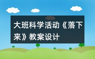 大班科學(xué)活動(dòng)《落下來(lái)》教案設(shè)計(jì)