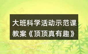 大班科學(xué)活動(dòng)示范課教案《頂頂真有趣》