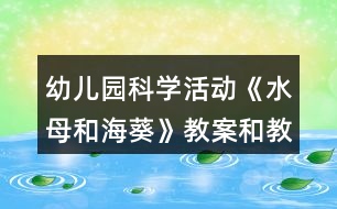 幼兒園科學(xué)活動《水母和?？方贪负徒虒W(xué)反思