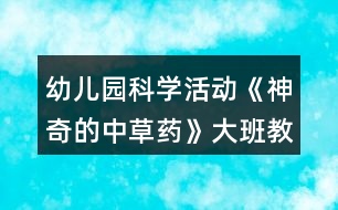 幼兒園科學(xué)活動(dòng)《神奇的中草藥》大班教案反思