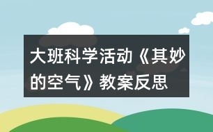 大班科學活動《其妙的空氣》教案反思