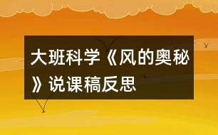 大班科學《風的奧秘》說課稿反思