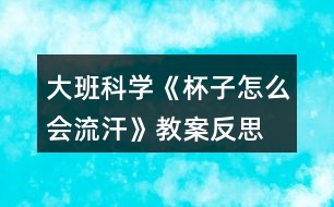 大班科學(xué)《杯子怎么會流汗》教案反思