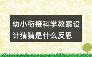 幼小銜接科學教案設計—猜猜是什么反思