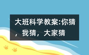 大班科學(xué)教案:你猜，我猜，大家猜