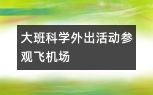 大班科學(xué)外出活動參觀飛機場