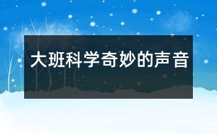 大班科學(xué)：奇妙的聲音