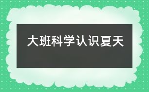 大班科學(xué)：認識夏天