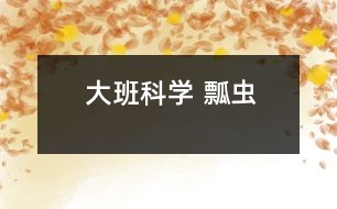 大班科學(xué) 瓢蟲