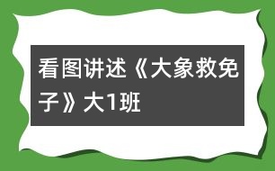 看圖講述《大象救免子》大（1）班