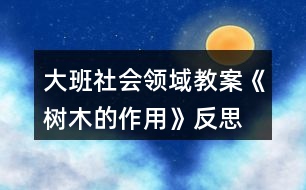 大班社會(huì)領(lǐng)域教案《樹(shù)木的作用》反思