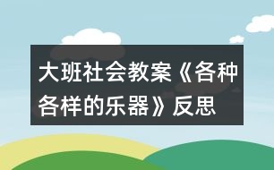 大班社會(huì)教案《各種各樣的樂器》反思