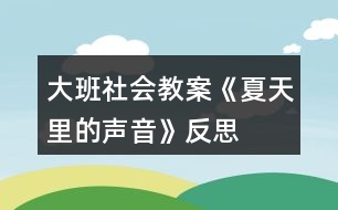 大班社會教案《夏天里的聲音》反思