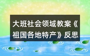 大班社會領(lǐng)域教案《祖國各地特產(chǎn)》反思