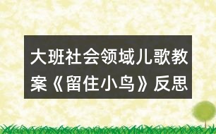 大班社會領(lǐng)域兒歌教案《留住小鳥》反思