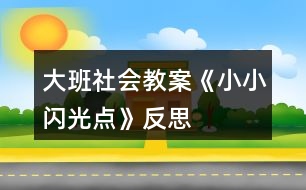 大班社會教案《小小“閃光點”》反思