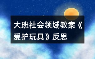 大班社會領(lǐng)域教案《愛護(hù)玩具》反思