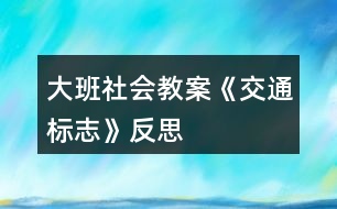 大班社會教案《交通標志》反思