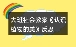 大班社會教案《認(rèn)識植物的美》反思