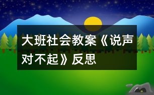 大班社會教案《說聲“對不起”》反思