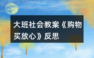 大班社會教案《購物買放心》反思