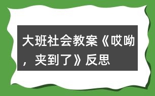 大班社會教案《哎呦，夾到了》反思