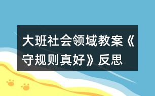 大班社會(huì)領(lǐng)域教案《守規(guī)則真好》反思