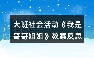 大班社會活動《我是哥哥姐姐》教案反思