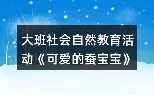 大班社會(huì)自然教育活動(dòng)《可愛的蠶寶寶》教學(xué)設(shè)計(jì)