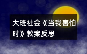 大班社會《當(dāng)我害怕時》教案反思